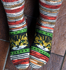 Foto_katzensocken_klein_small