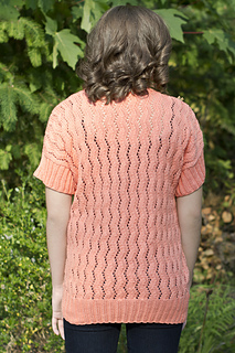 Dk367b_small2