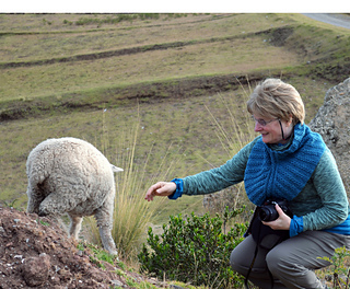 Lamb__cat__cowl_small2