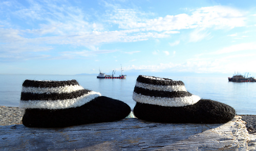 Skunk_sea_boat_medium
