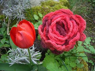 Cranberriesscarf05_small2