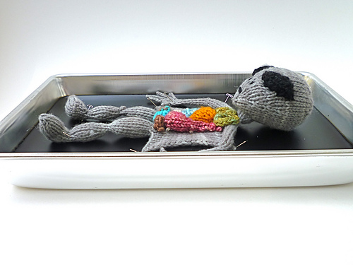 A Knitted Alien Dissection by Julie Ragland : r/knitting