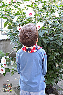 Img_1928bis_small2
