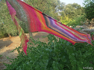 Dscn6653_25255b12_25255d_small2
