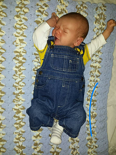 Image_small2
