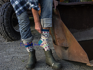 _8171645_72e_small2