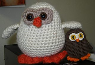 3036_owls_small2