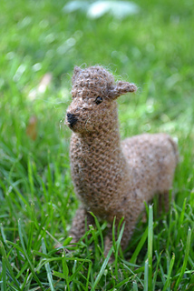 Dsc_0025_small2
