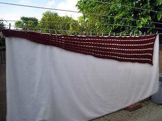 Boy-thorn-side-wrap-03_small2