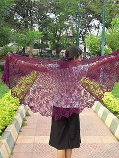 Wings_019_small2