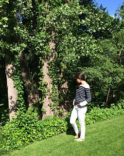 Image_small2