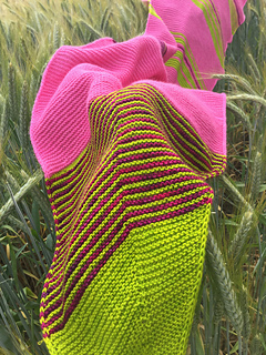 Image_small2