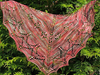 P6255509_small2