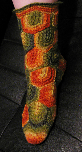 Zip_1_front_no_flash_medium