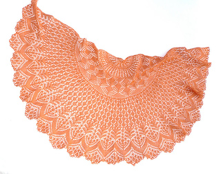 Vess_orange2_small2