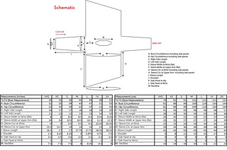 Schematic_small2