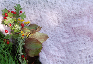 Dsc_3403_small2