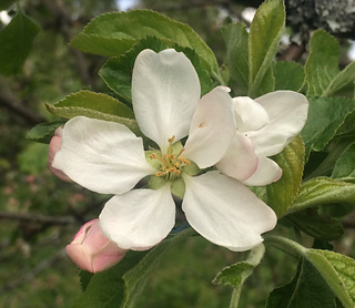 Image_small2