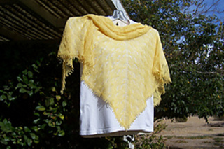 Sunray1_small2