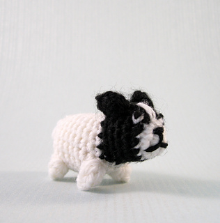 Frenchie_04_small2