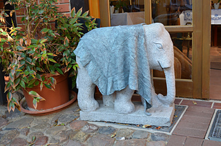 Dsc_0310_small2