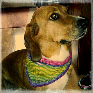 Aviary_photo_131097915326979908_small2
