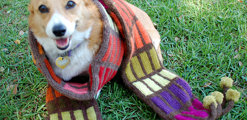 Maggie_better_crop_29_medium