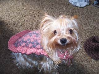Knitting011_small2