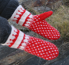 Mushroom-mittens_small