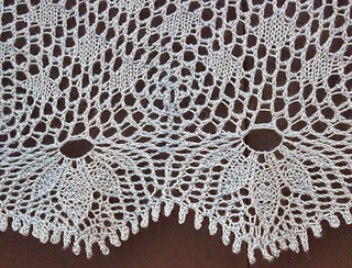 Echinacea_edge_small2