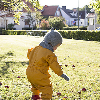161008_1174_small2