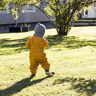 161008_1238_small2
