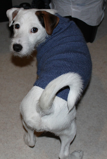 Sweater1_small2
