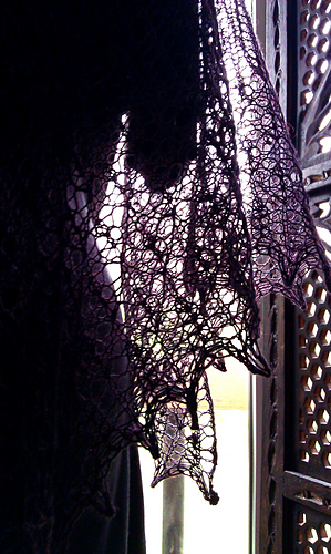 Imag0952a_medium