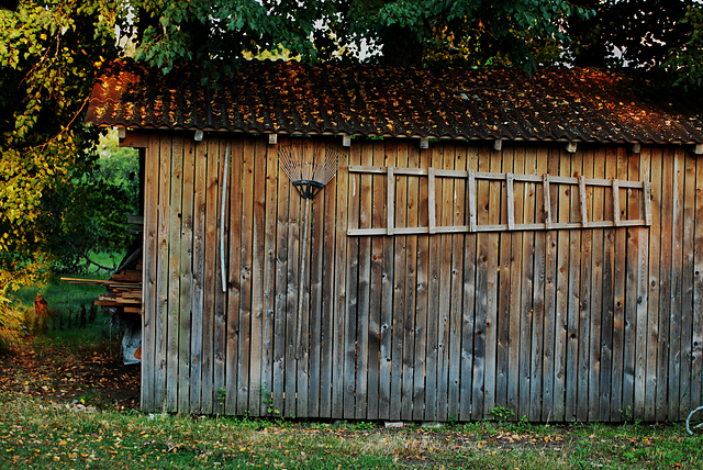 DSC_7537_medium2.JPG