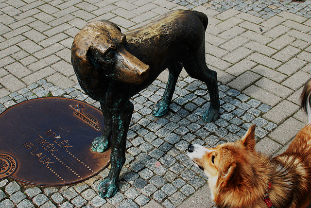 DSC_7889_medium2.JPG