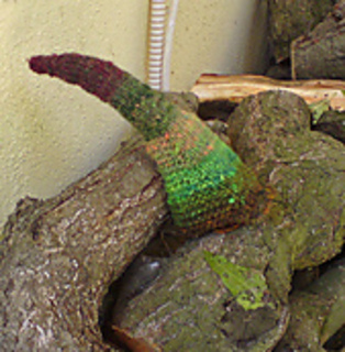 Tentacle-in-woodpile_small2