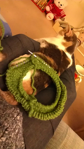 Imag0322_medium