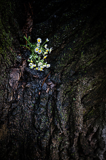 Untitled-131_small2