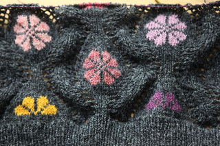 Daisies_3_small2