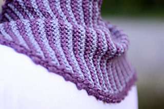 Taygeteascot1_small2