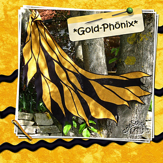 140522_phoenix_small2