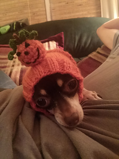 Cam00574_small2