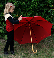 Ymred_umbr521_059_small