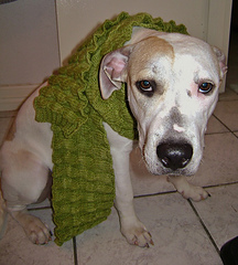 Side_salad_scarf_small