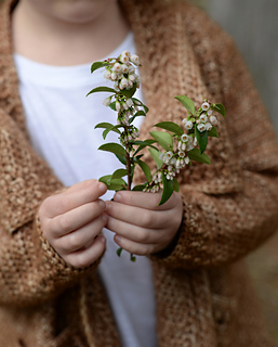 Dsc_1760_small2