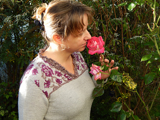 Climbing_rose_001_small2