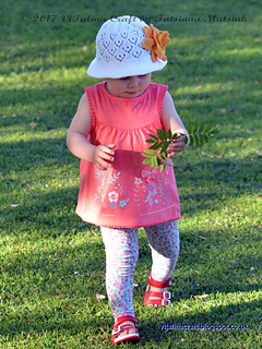 Dsc_0193_cr_small2