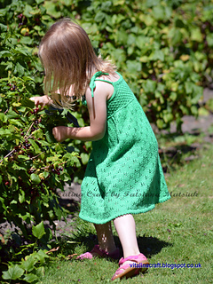 Dsc_0086_cr_small2