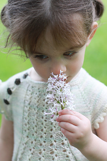Img_7848_small2